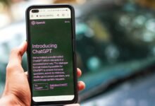 customer support phone number