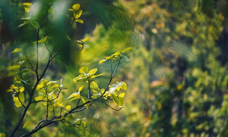 energy stocks set to rise