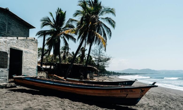 invest now for future gains