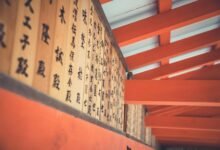 support hotline number