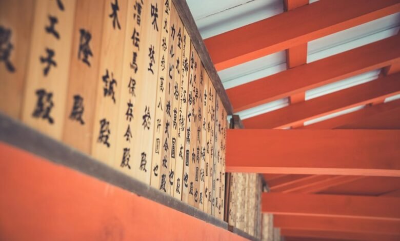 support hotline number