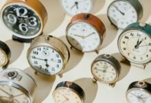 master dataset phone numbers